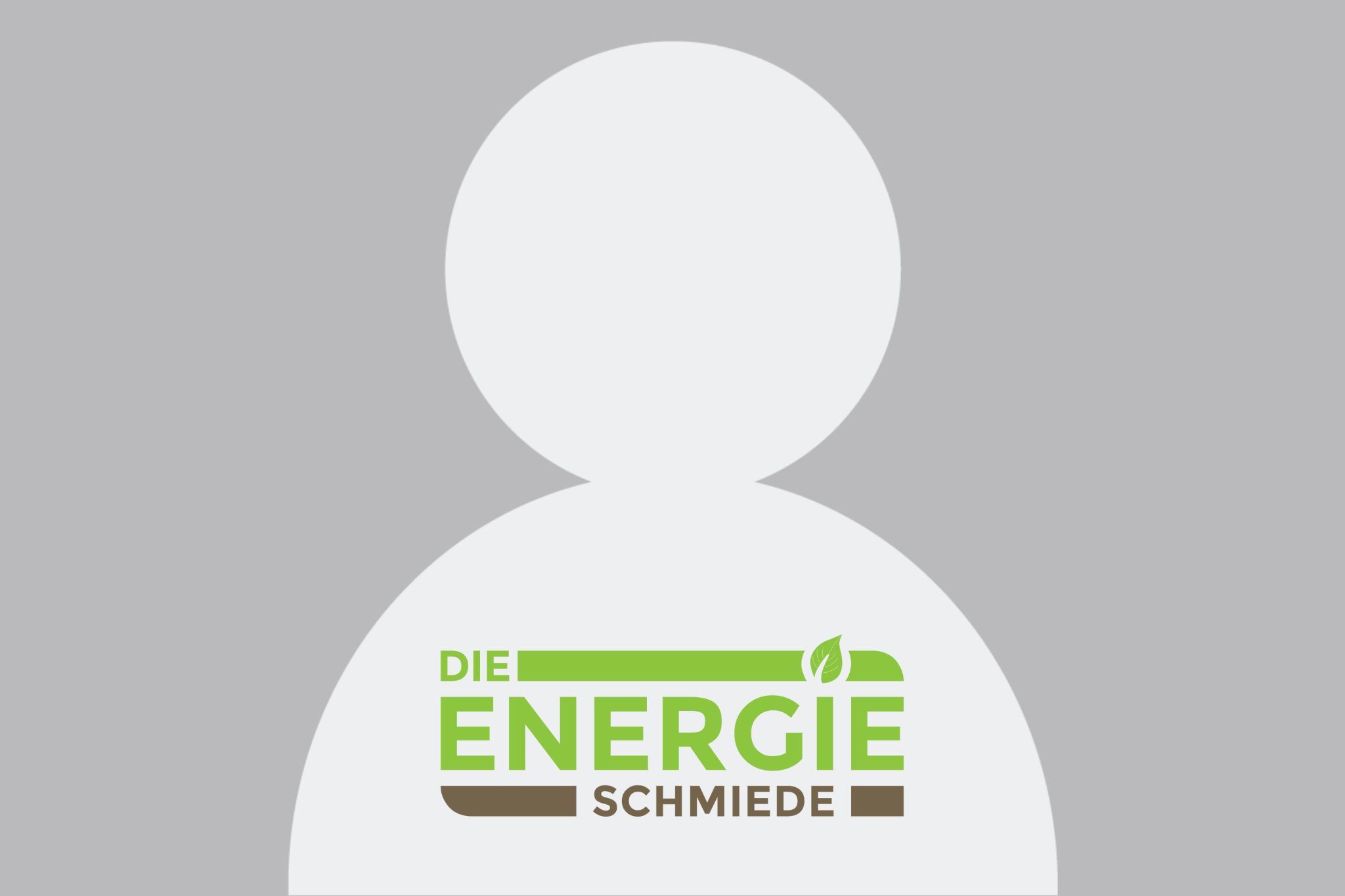 Ein Bild von einem Profilavatar und dem Firmenlogo von "Die Energieschmiede".
